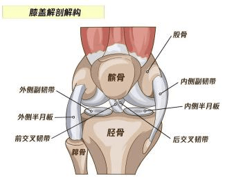 微信图片_20231230145455.png