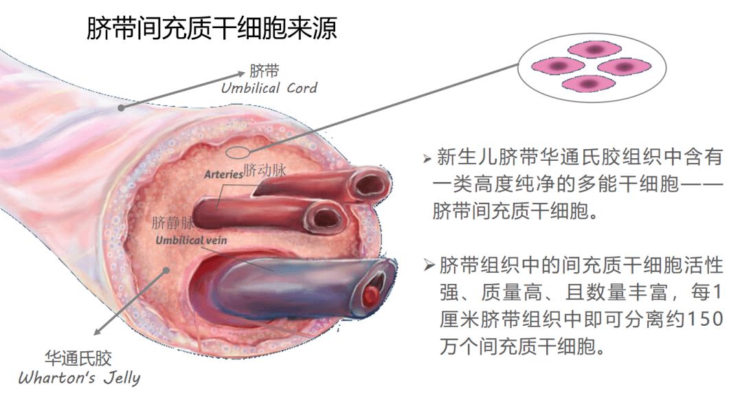 微信图片_20231230150453.png