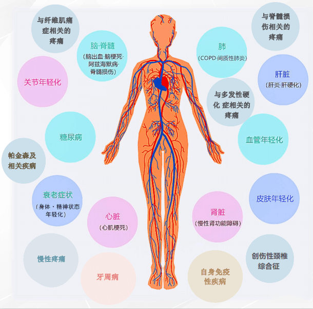 微信图片_20231230150507.png