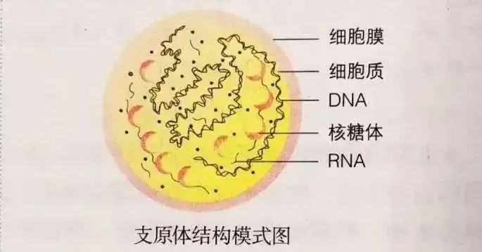 微信图片_20240103151602.jpg