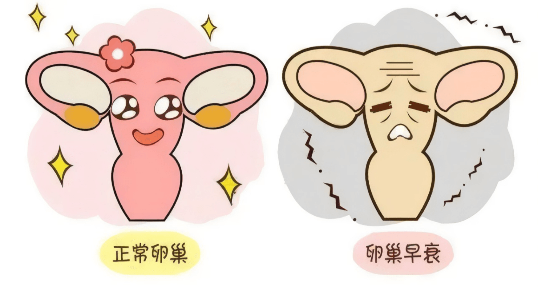 微信图片_20240104153718.png