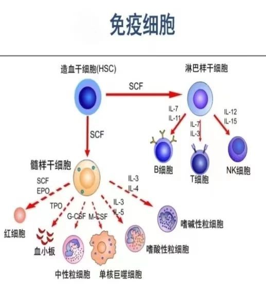 微信图片_20240104154918.jpg