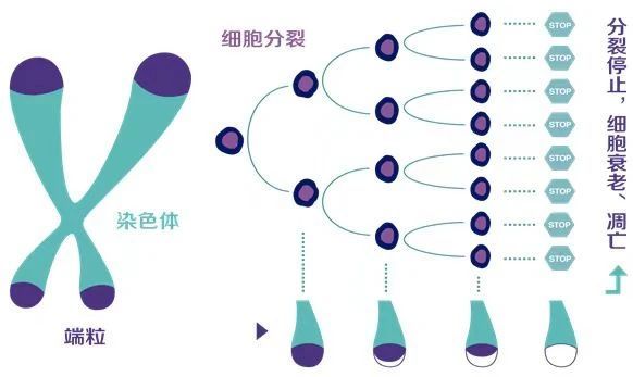 微信图片_20240104154930.jpg