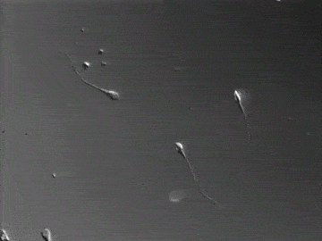 微信图片_20240110141505.gif