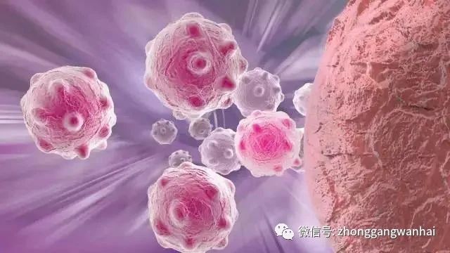 微信图片_20240110141739.jpg