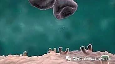 微信图片_20240110141758.jpg