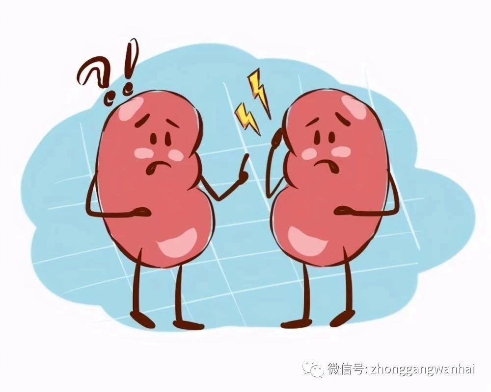 微信图片_20240115100335.jpg