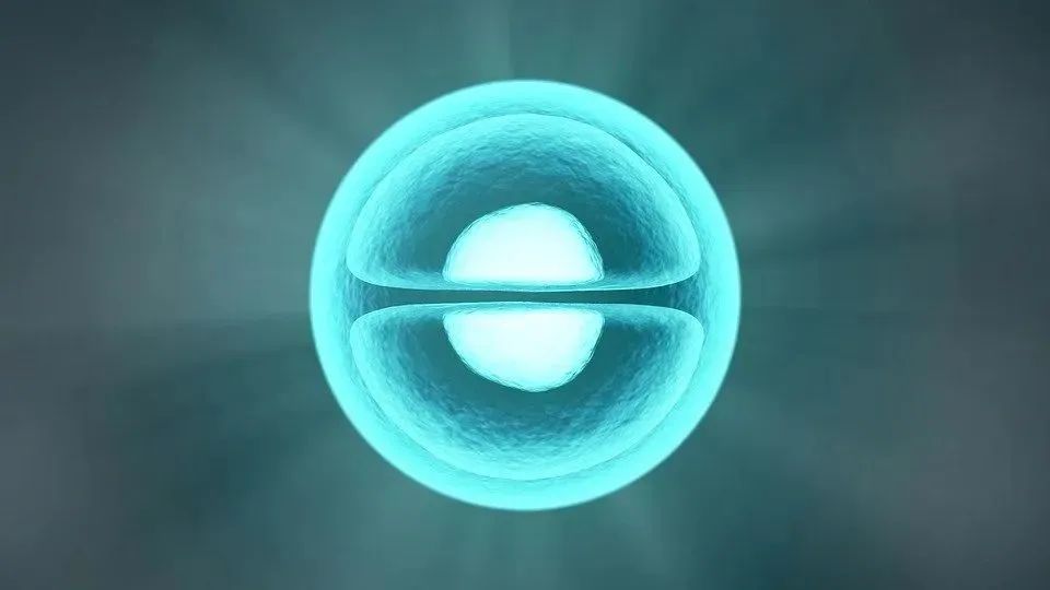 微信图片_20240118154203.jpg