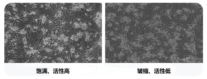 微信图片_20240118170737.png