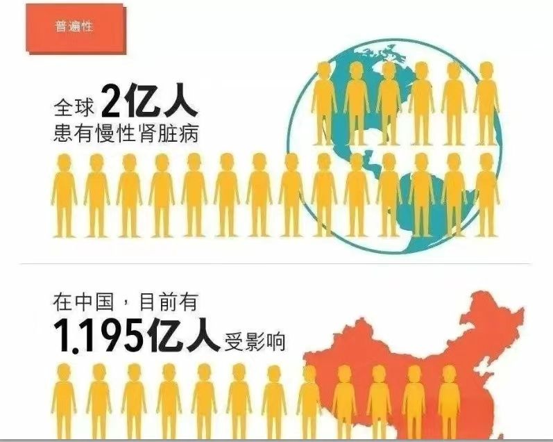 微信图片_20240517100355.jpg