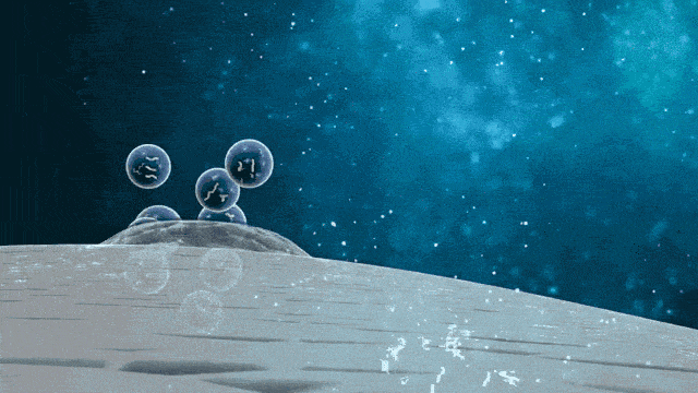 2.gif