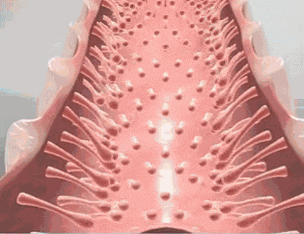 3.gif