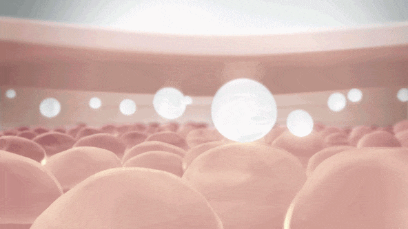 4.gif